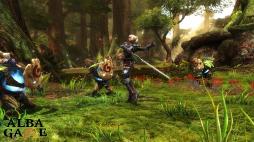 KINGDOM OF AMALUR - RE-RECKONING HASZNÁLT