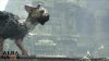 LAST GUARDIAN, THE - HASZNÁLT