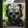 CALL OF DUTY - MODERN WARFARE II. - HASZNÁLT