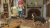 THE SIMS 4 - CATS AND DOGS BUNDLE HASZNÁLT